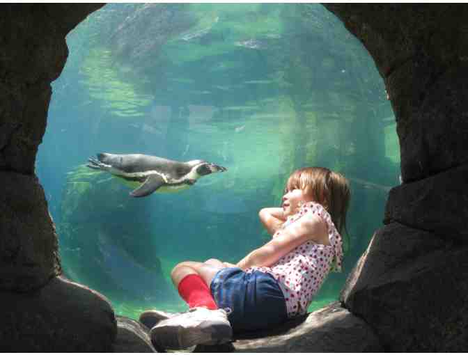 Family Fun Pack at Woodland Park Zoo in Seattle