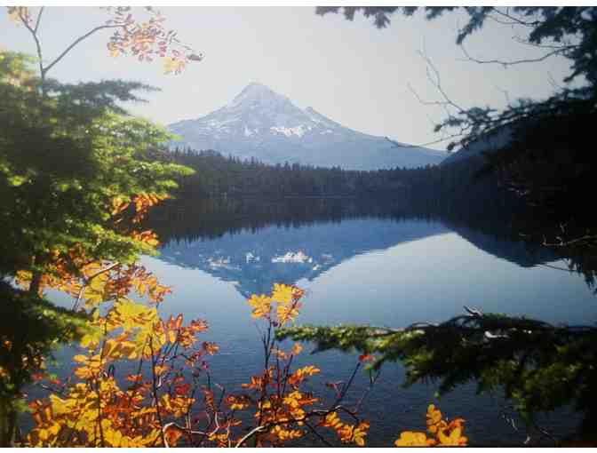 Photographic Prints on Canvas from Gerald Cosby