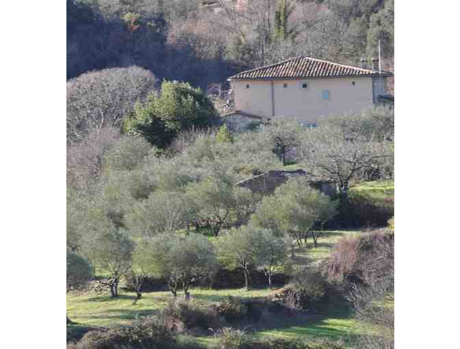 A Week in a Country House in Southern France