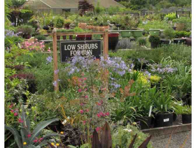 Portland Nursery $30 Gift Card