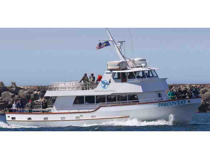 Marine Discovery Sea Life Cruise for Two in Newport