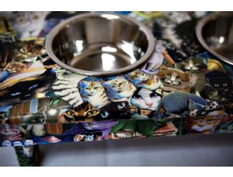 Small Cat Feeding Station By Laura Seeley and Lori DiBacco