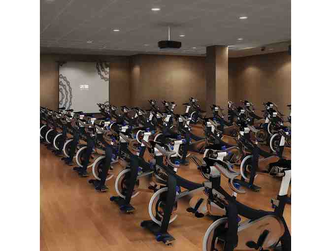 Life Time Athletic Chestnut Hill - One Month Family Membership