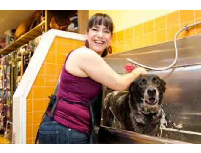 Uber Spa & Nail Trim for your Pooch