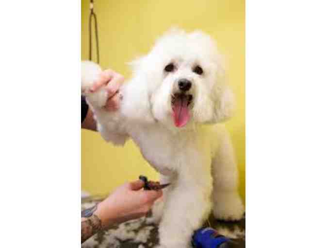 Uber Spa & Nail Trim for your Pooch