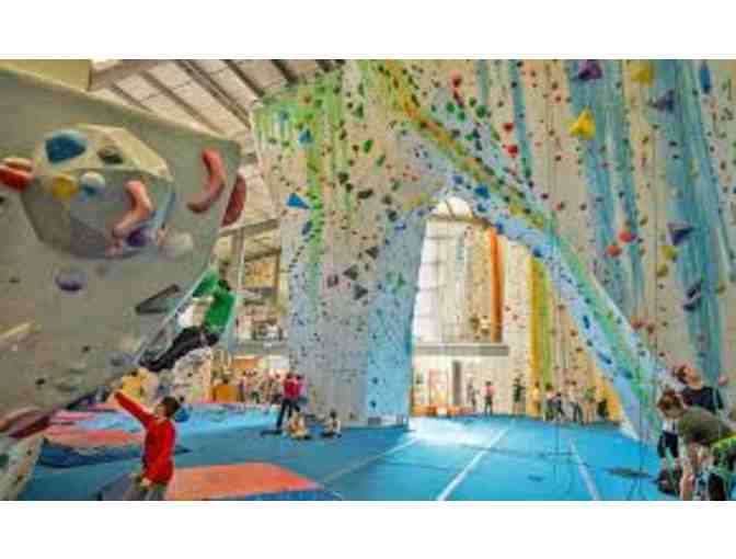 Central Rock Gym - Day of Climbing for Two