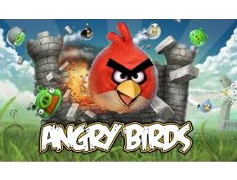 Pair of Angry Birds