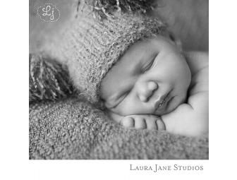$400 Gift Certificate with Laura Jane Studios