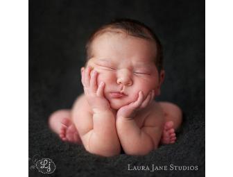 $400 Gift Certificate with Laura Jane Studios