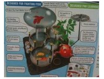 Fantasy Island Fighting Fish and Ant Habitat