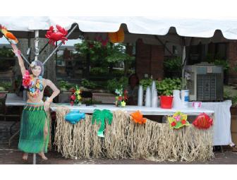 Tropical Twist LLC-$170 certificate Soft Serve Ice Cream Rentals & Edible Palms