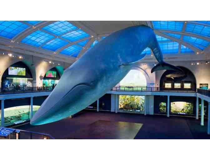 Four Vouchers for General Admission to the American Museum of Natural History