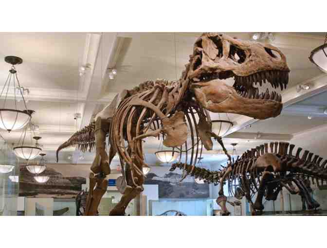 Four Vouchers for General Admission to the American Museum of Natural History