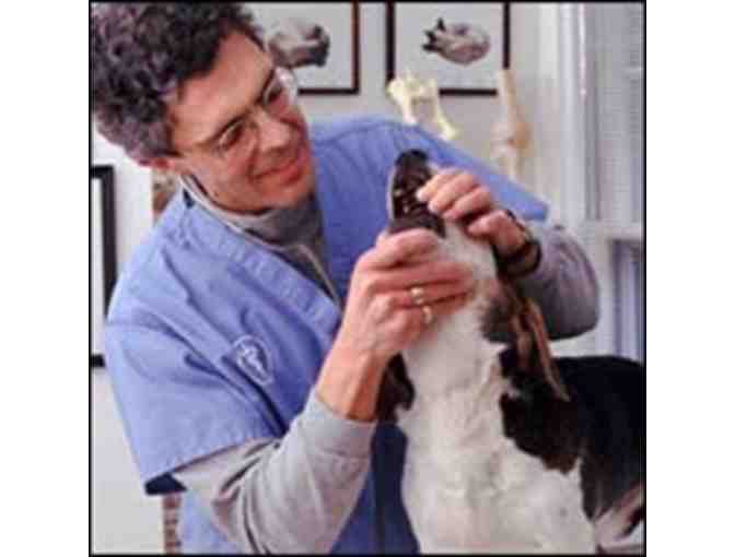 One 30-Minute Office Visit/Examination at City Veterinary Care
