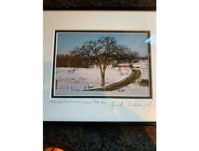 Winter Scene Photo by April S. Hubbard in Frame