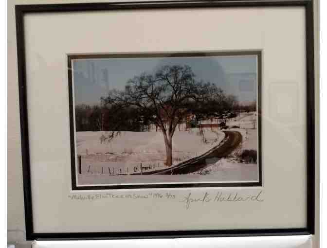 Winter Scene Photo by April S. Hubbard in Frame