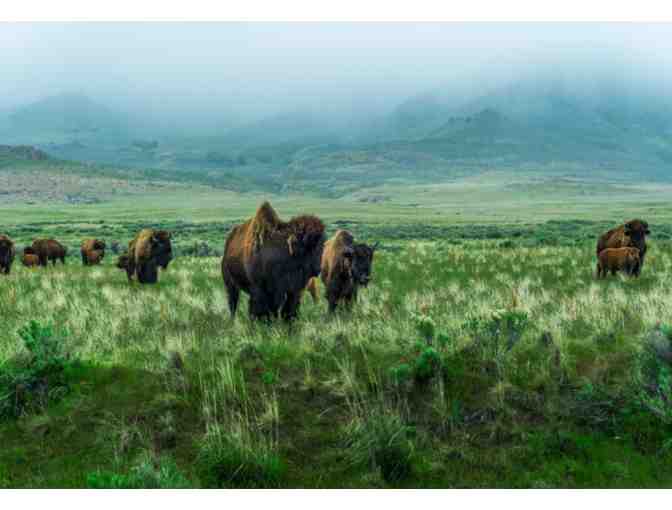 7 Nights in Park City!