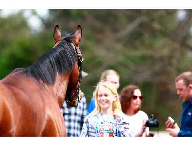 3 Nights in Kentucky with Horse Farm Tour!
