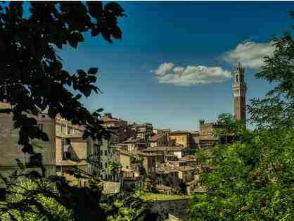 Full Day Private Tour of Siena for 6