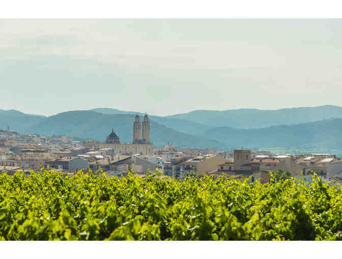 Brilliant Barcelona: Wine, Cuisine & Coastal Living in Spain - Photo 7