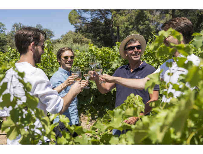 Provence to Paris: The Van Gogh Experience - Photo 4