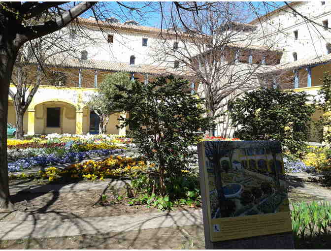 Provence to Paris: The Van Gogh Experience - Photo 11