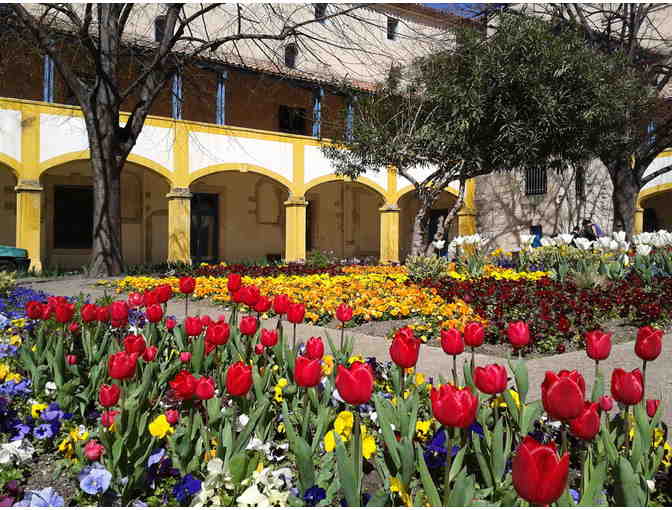 Provence to Paris: The Van Gogh Experience - Photo 12