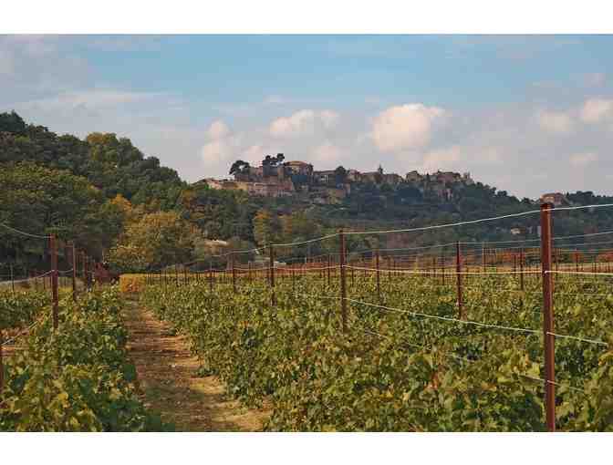 Provence to Paris: The Van Gogh Experience - Photo 15