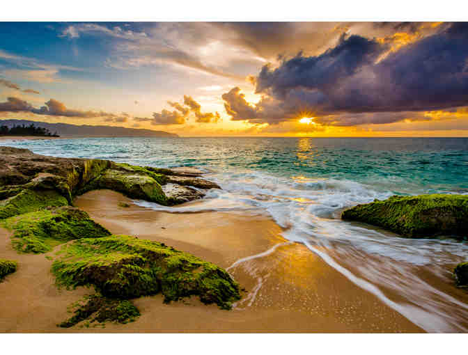 The Aloha Collection: Your Island, Your Adventure - Photo 7