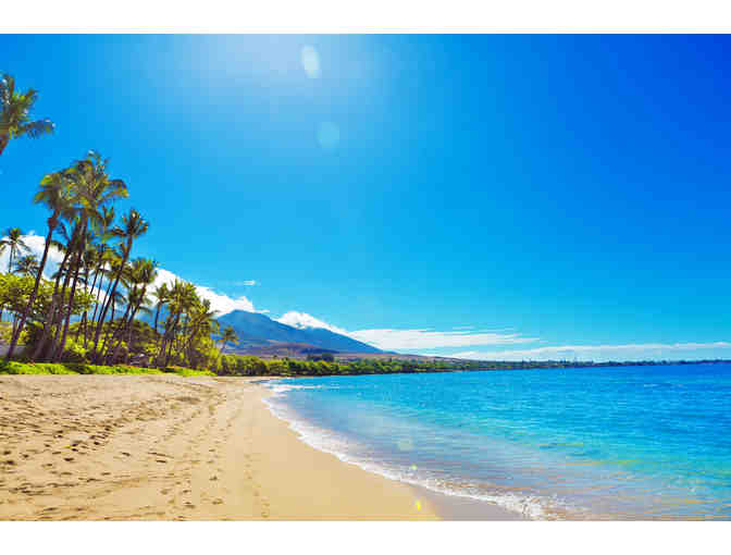 The Aloha Collection: Your Island, Your Adventure - Photo 9