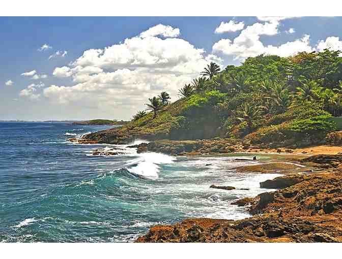 Golf Resort Getaway! Hawaii or Puerto Rico - Photo 4