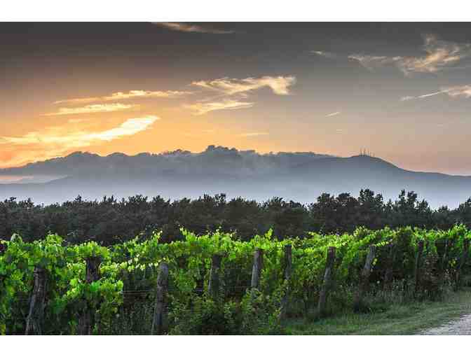 6-Night Vacation to Florence and Cortona! - Photo 6