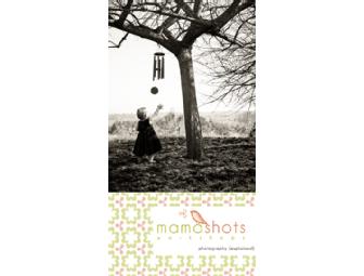 Parents' Photo Workshops - Tuesday Night Series or Whole Shebang Saturday