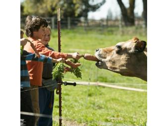 2 Children Breakfast on Summerfield's Farm in Sonoma County