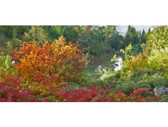Botanical Garden Tour for Four at Quarryhill