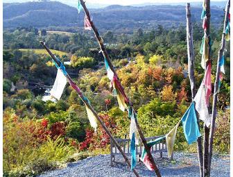 Botanical Garden Tour for Four at Quarryhill