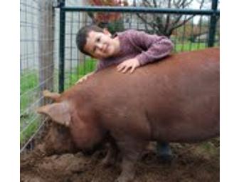 Felton Acres Premium Pasture-Raised Meats