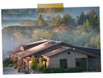 Littorai Wines 6-pack of Mixed Chardonnay and Pinot Noir