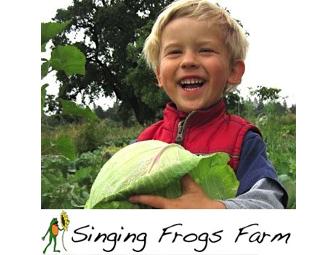 Singing Frogs Farm 4-Week Trial Box