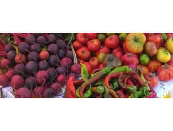 Singing Frogs Farm 4-Week Trial Box