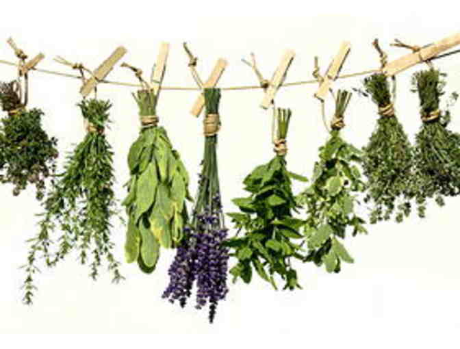 The Ultimate in Self-Care - Healing Heart Treatment and Kombucha Flight