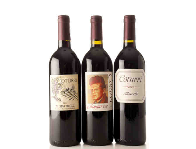 Wine Bottling Experience with Coturri Winery