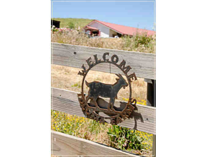 Private Tour for 6 with Lunch & Cheese Tasting in Tomales!