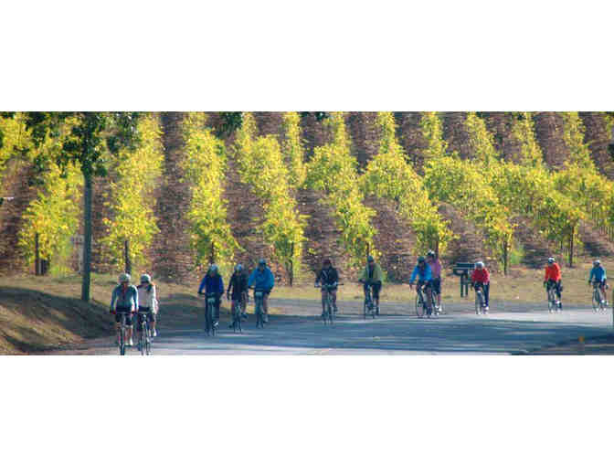 Bike Tour with Farmer Dana -- Custom-Tailored for YOU!