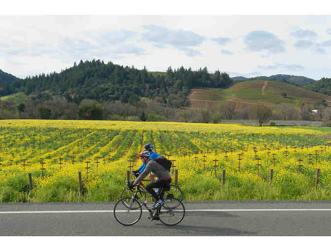Bike Tour with Farmer Dana -- Custom-Tailored for YOU!