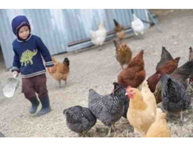 Fresh Local Jersey Cow Milk from Leras Family Farm