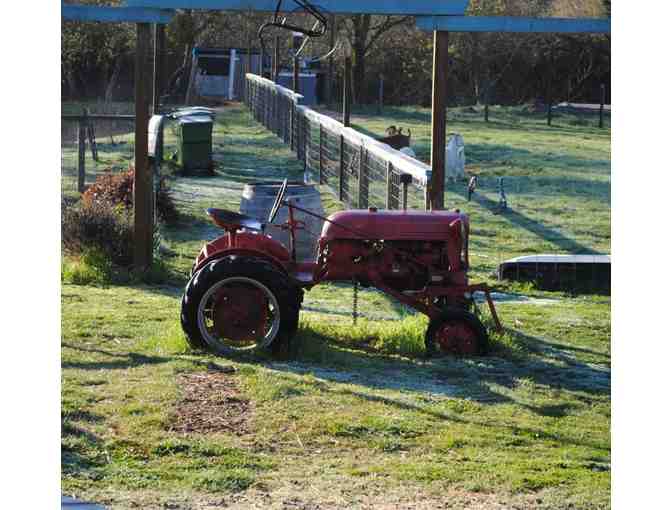 Wine Country Apartment with Open Kitchen & Farm ~ Cool Barn Style!