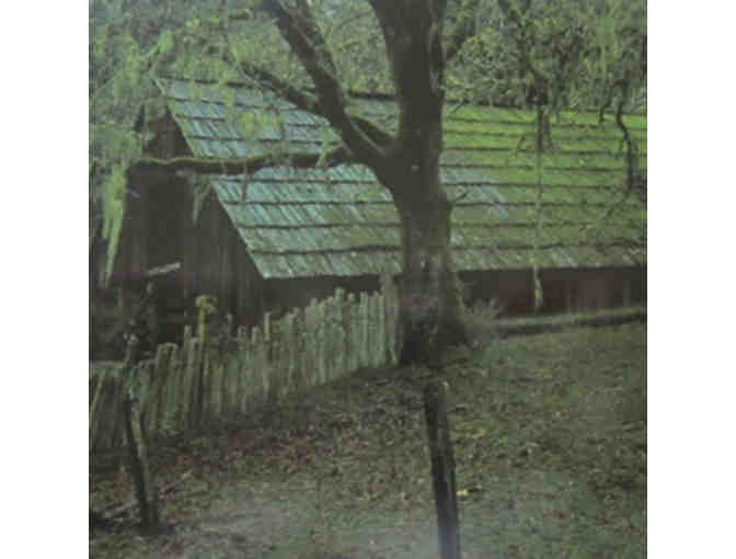 Beautiful Note Cards with Envelopes