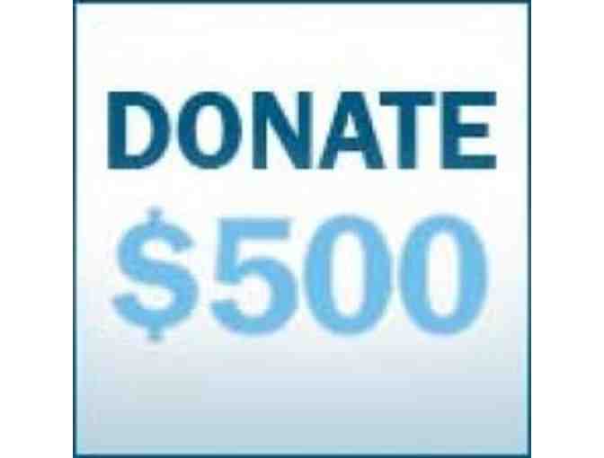 Support Summerfield! $500 Donation