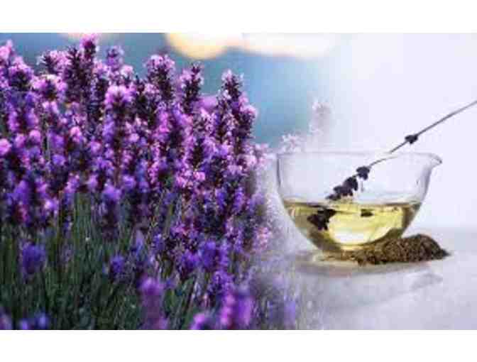 Pure, Organic, Provence Lavender Hydrosol